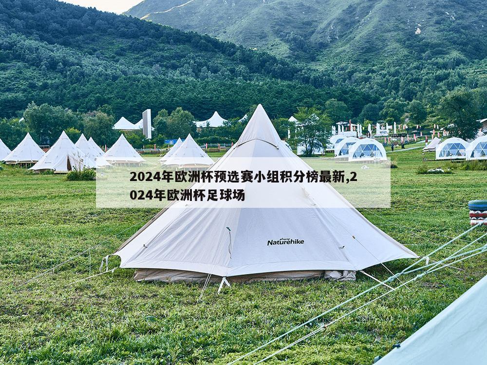 2024年欧洲杯预选赛小组积分榜最新,2024年欧洲杯足球场