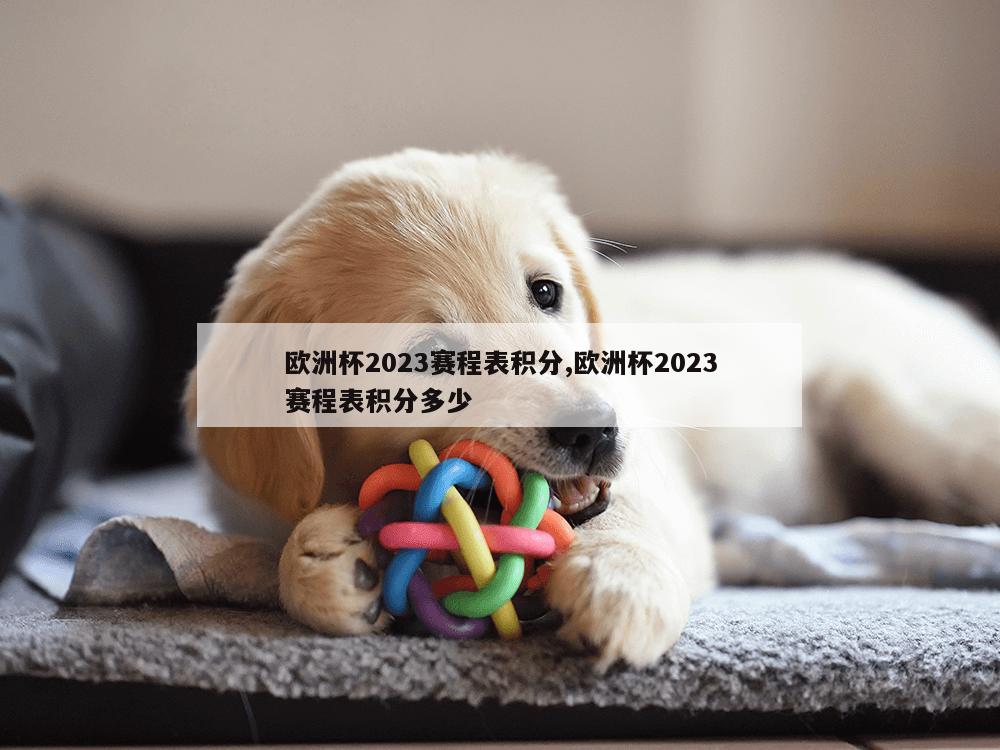 欧洲杯2023赛程表积分,欧洲杯2023赛程表积分多少