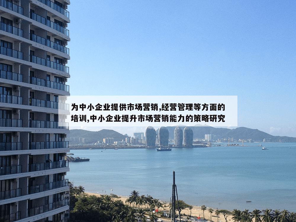 为中小企业提供市场营销,经营管理等方面的培训,中小企业提升市场营销能力的策略研究