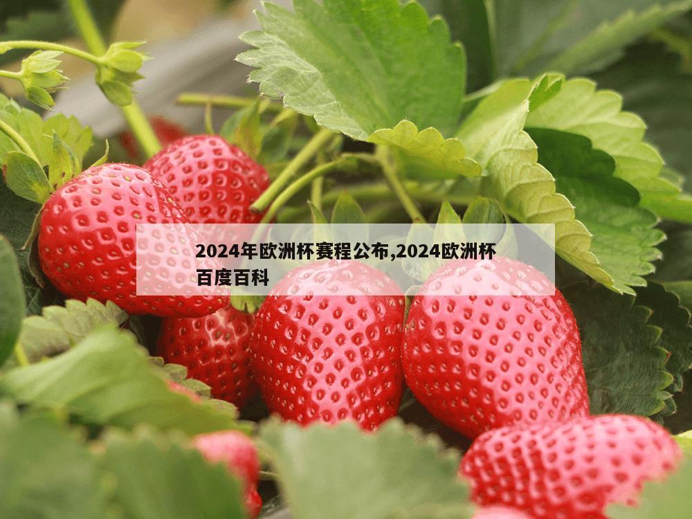 2024年欧洲杯赛程公布,2024欧洲杯百度百科