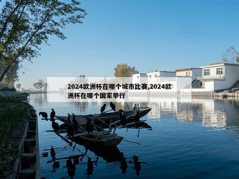 2024欧洲杯在哪个城市比赛,2024欧洲杯在哪个国家举行