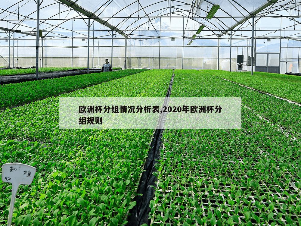 欧洲杯分组情况分析表,2020年欧洲杯分组规则