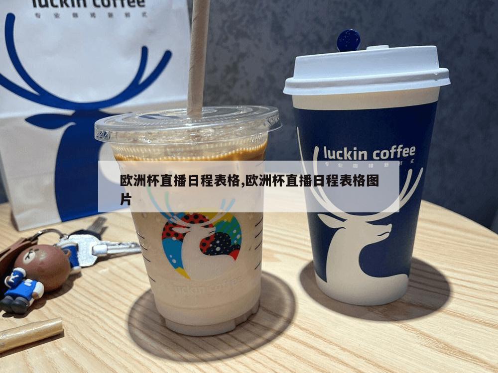 欧洲杯直播日程表格,欧洲杯直播日程表格图片