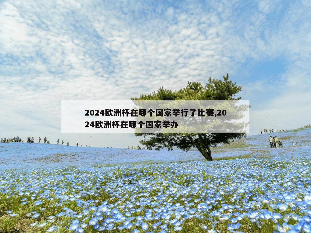 2024欧洲杯在哪个国家举行了比赛,2024欧洲杯在哪个国家举办