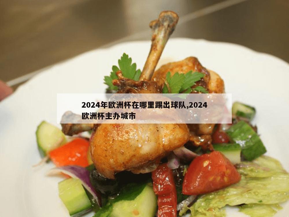 2024年欧洲杯在哪里踢出球队,2024欧洲杯主办城市