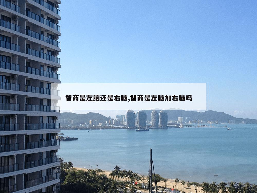 智商是左脑还是右脑,智商是左脑加右脑吗