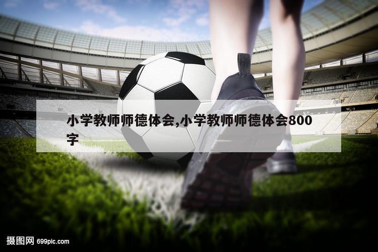 小学教师师德体会,小学教师师德体会800字