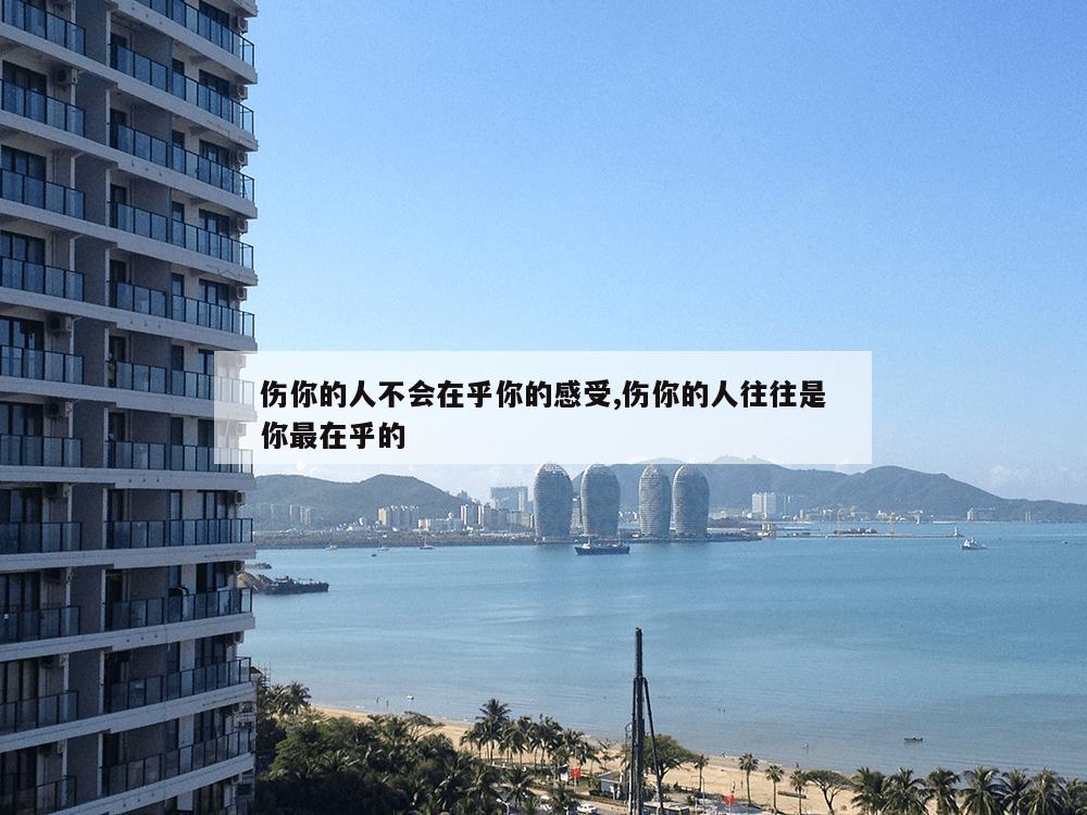 伤你的人不会在乎你的感受,伤你的人往往是你最在乎的